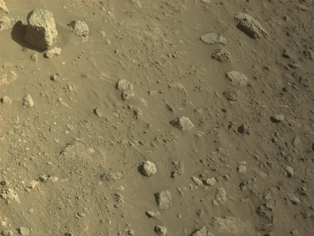The surface of Mars — rocks and rippled sand photographed by the Perseverance rover's navigation camera